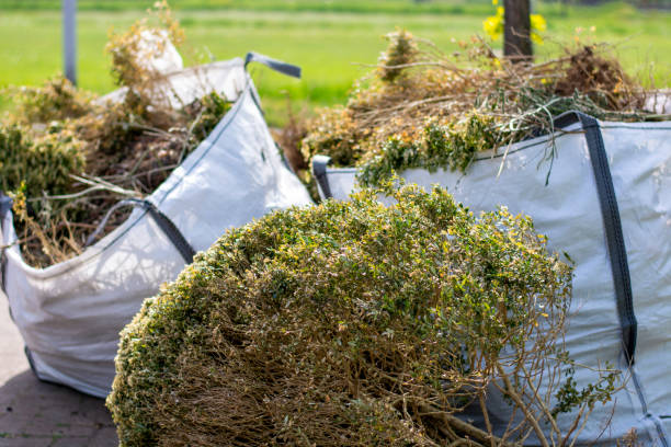 Best Professional Junk Removal  in Indian Hills, NM